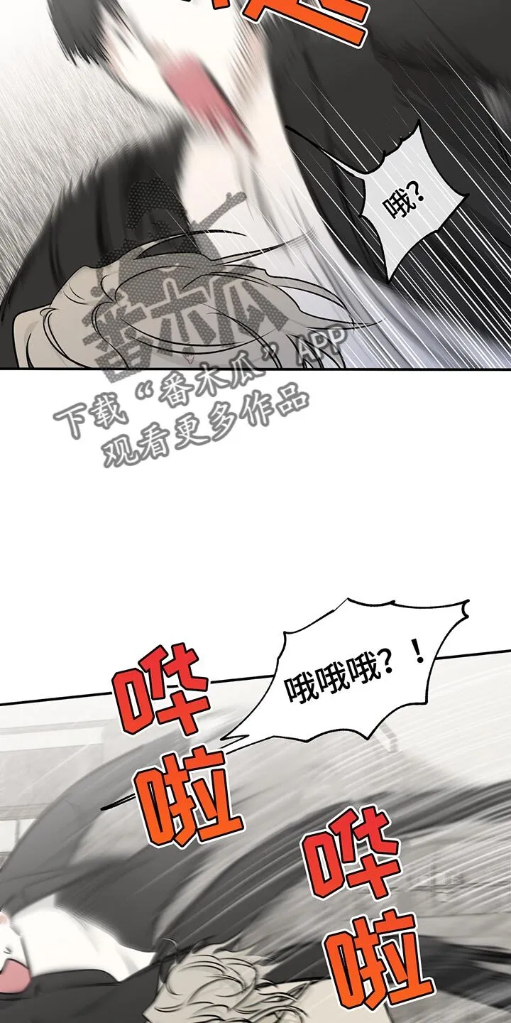 第208章：【第三季】对不起 第5页