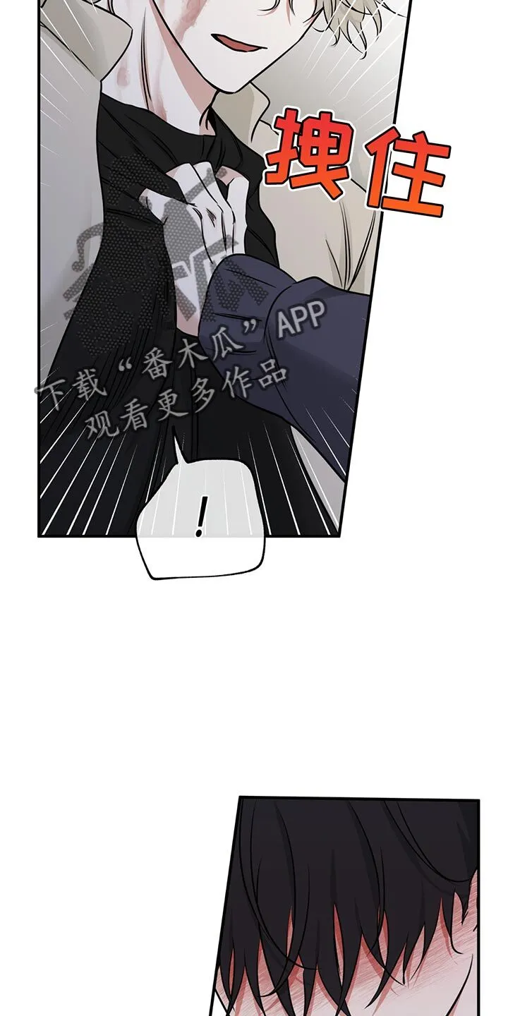 第209章：【第三季】我总是对你做错事 第5页