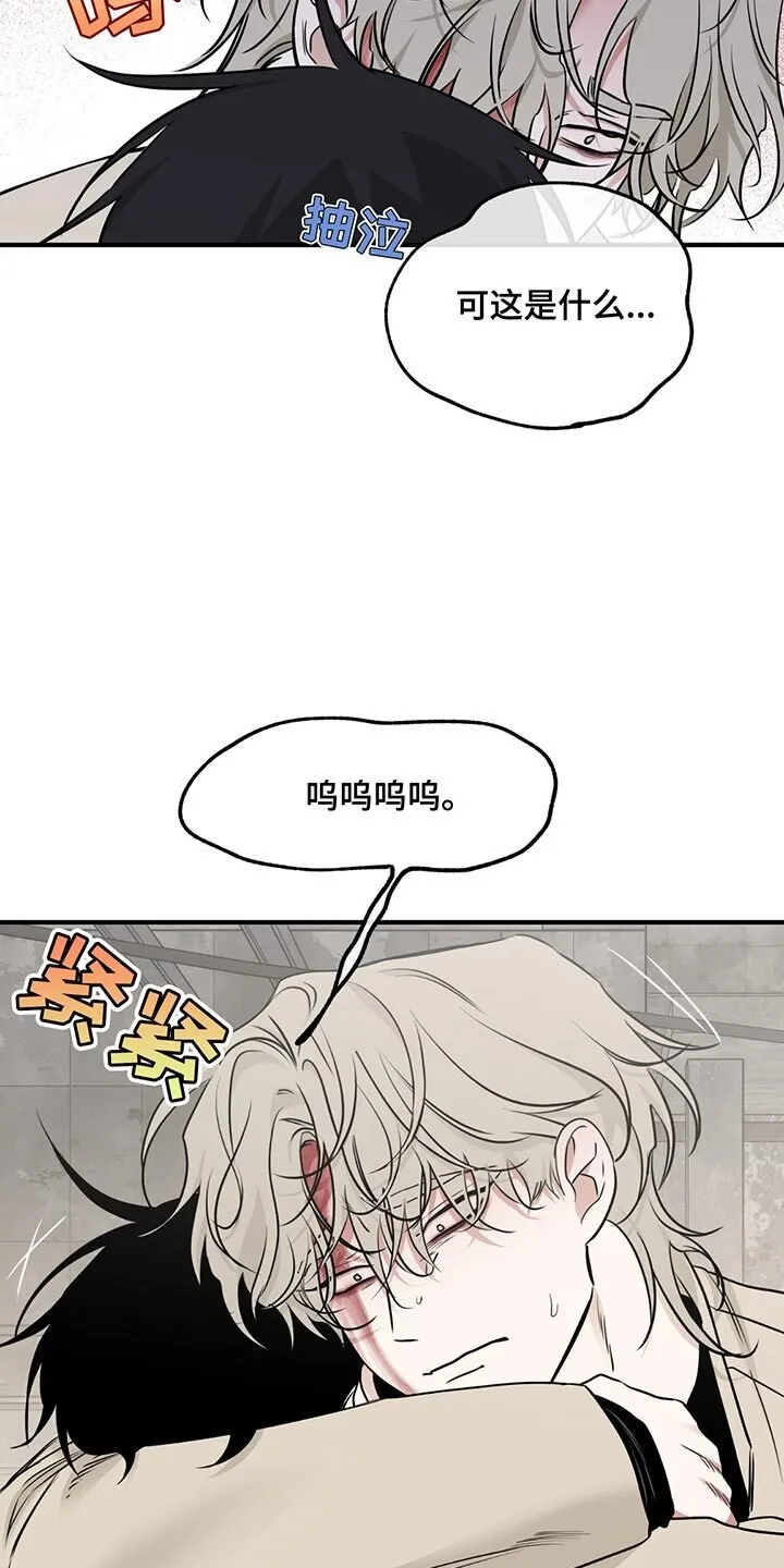 第209章：【第三季】我总是对你做错事 第13页