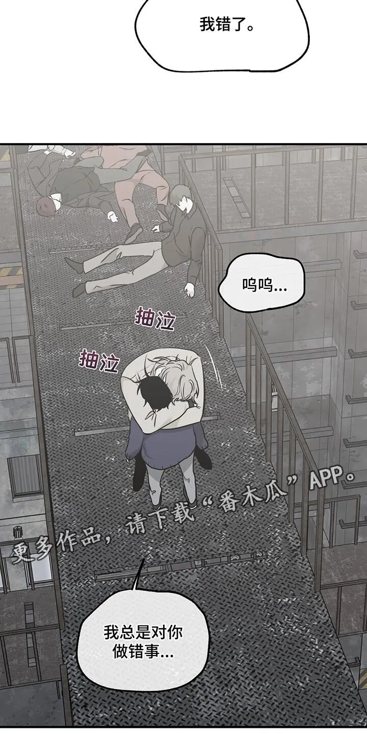 第209章：【第三季】我总是对你做错事 第15页