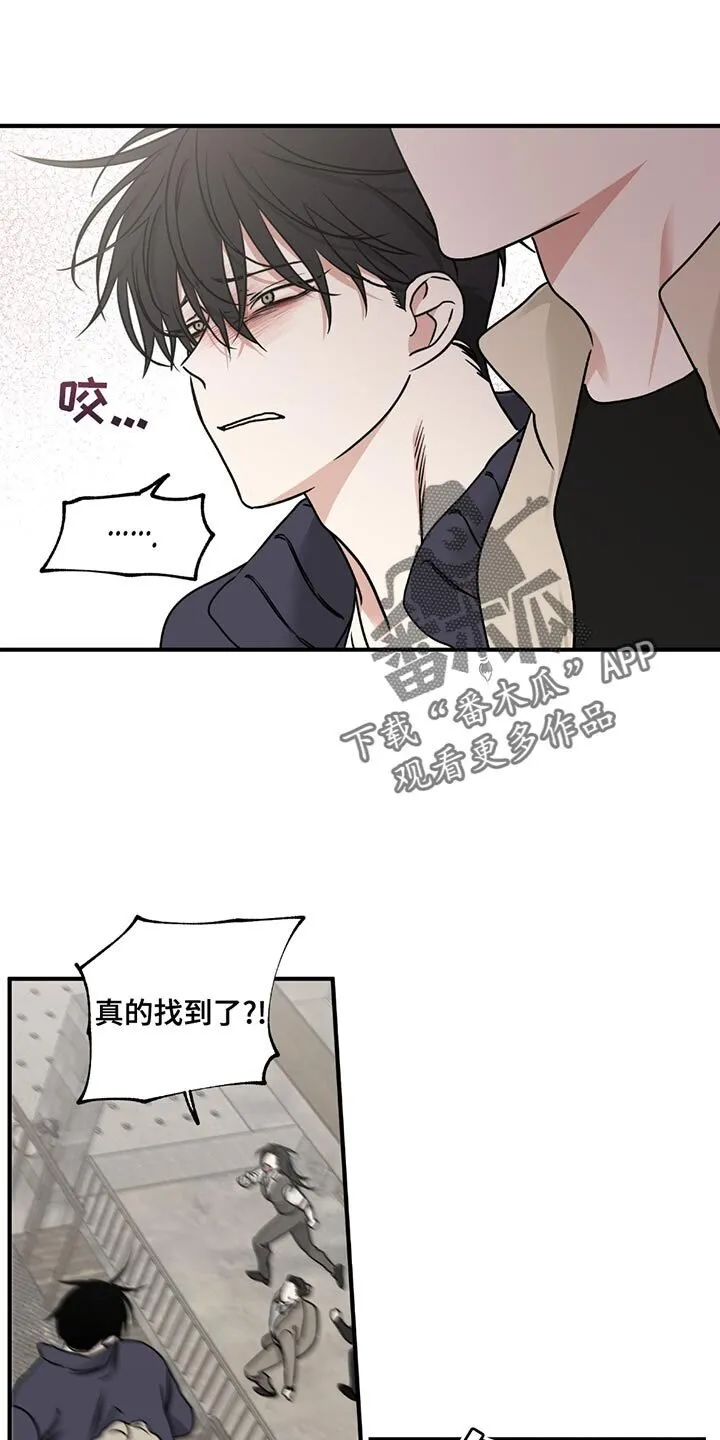 第211章：【第三季】跑！ 第12页