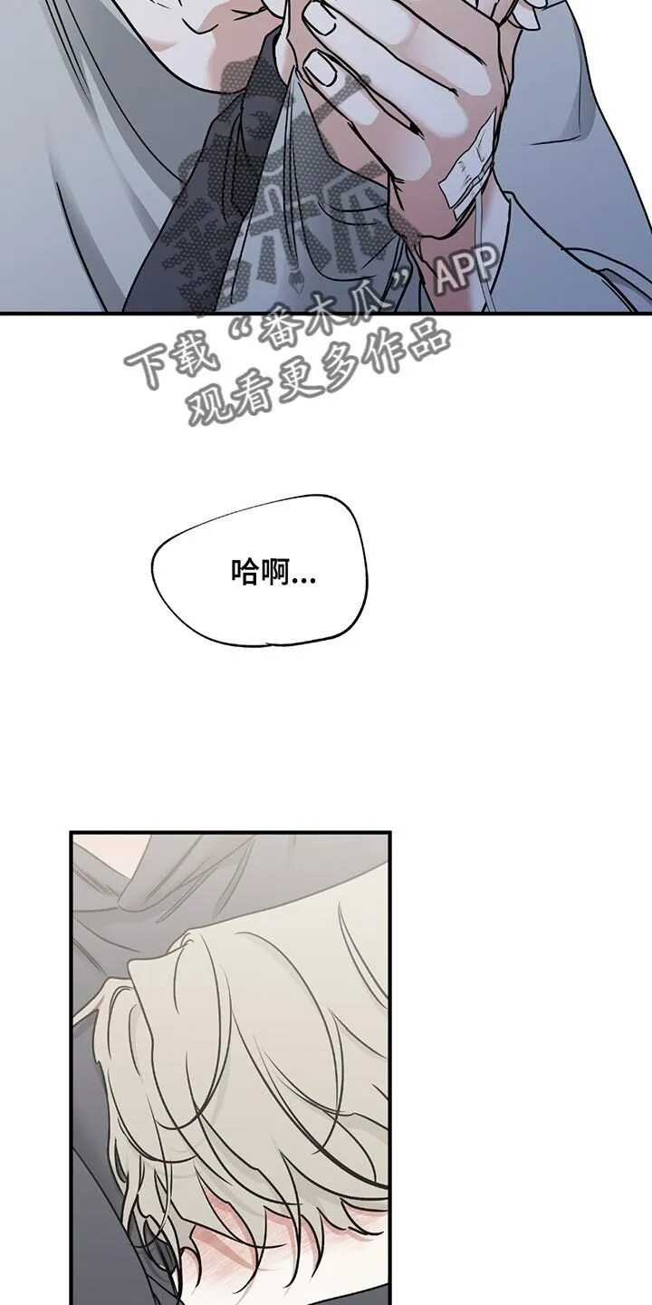 第218章：【第三季】最后的机会 第3页