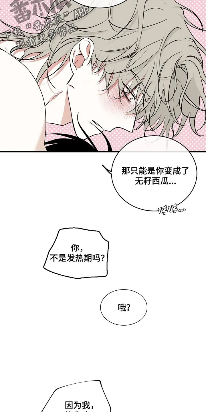 第230章：【第三季】想去看大海 第2页