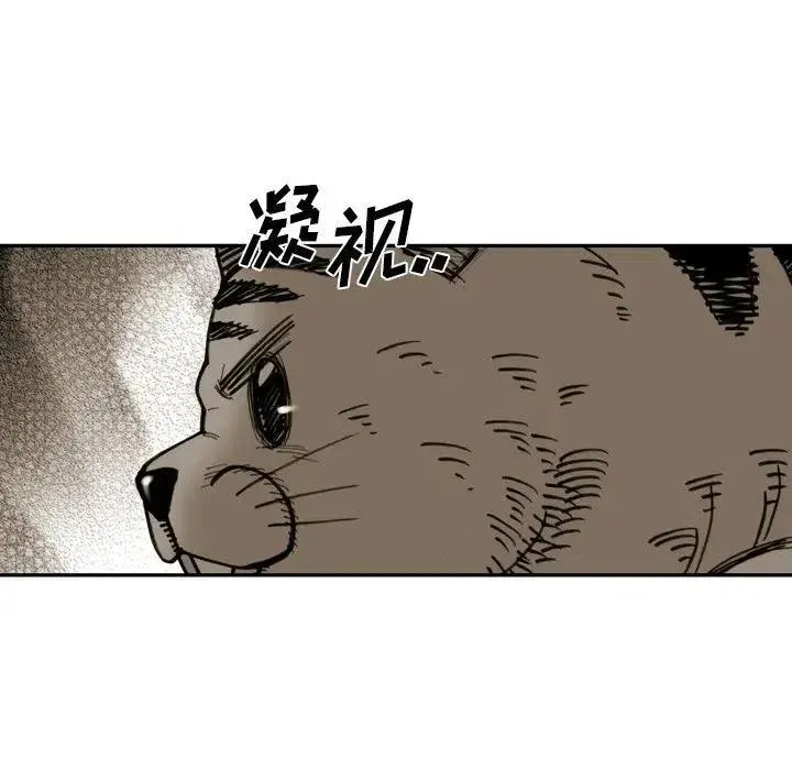 34 第51页