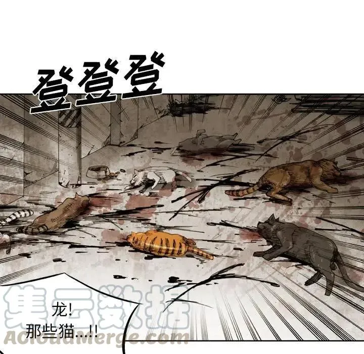 34 第55页