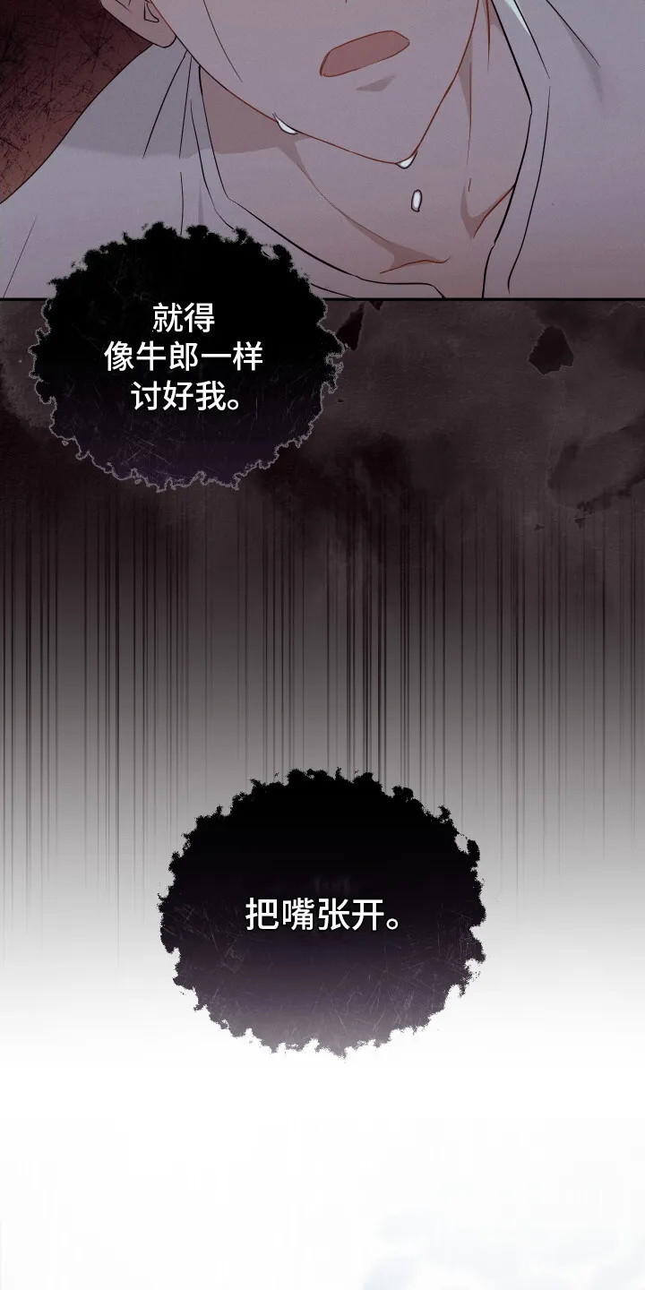 第1章：联姻 第3页