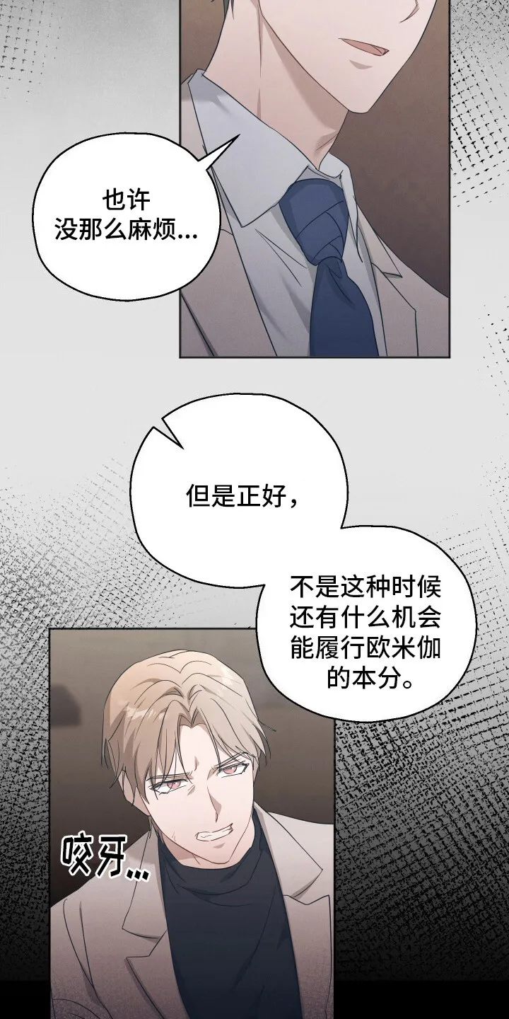 第5章：反对 第15页