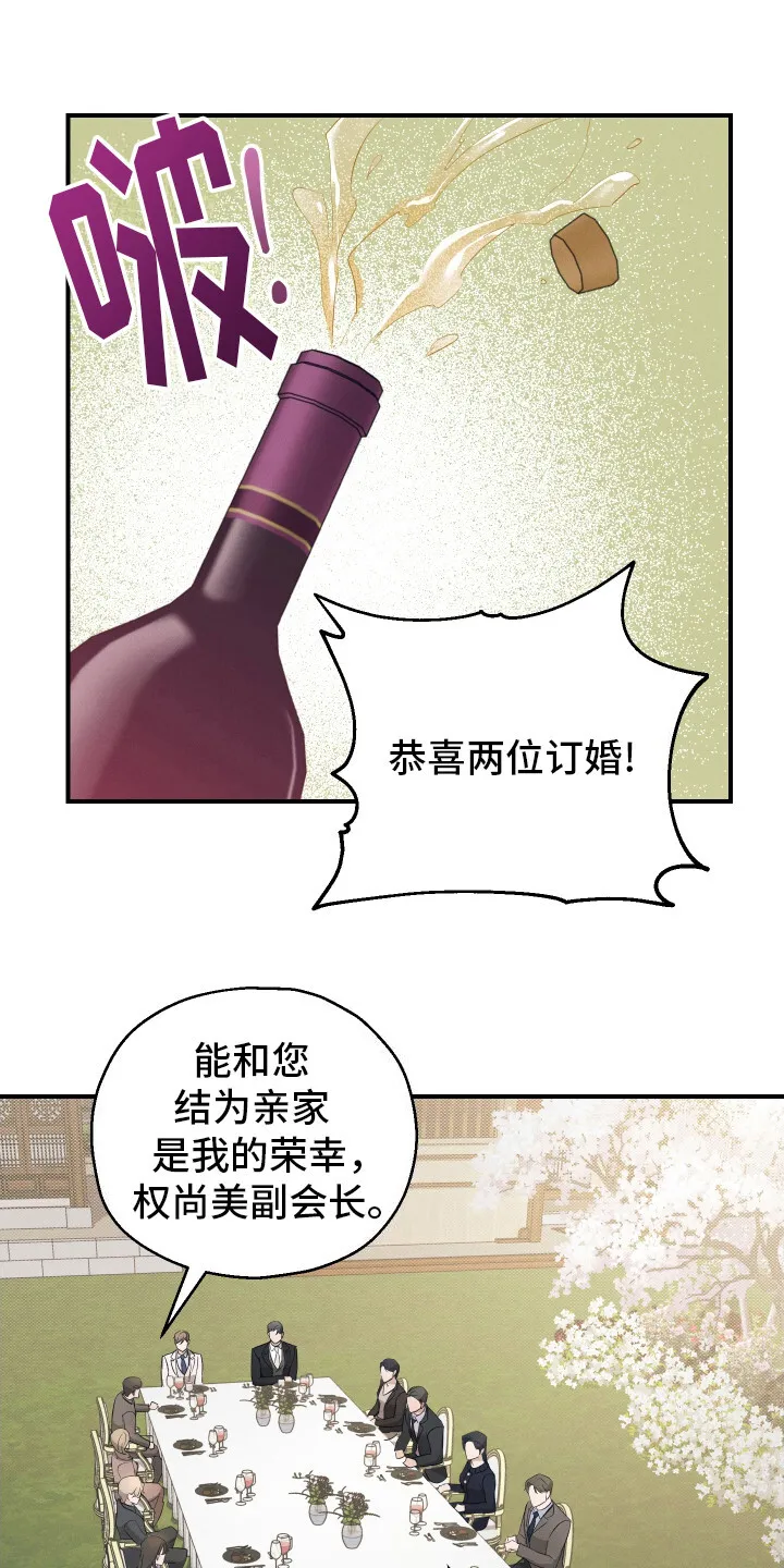 第11章：订婚仪式 第13页