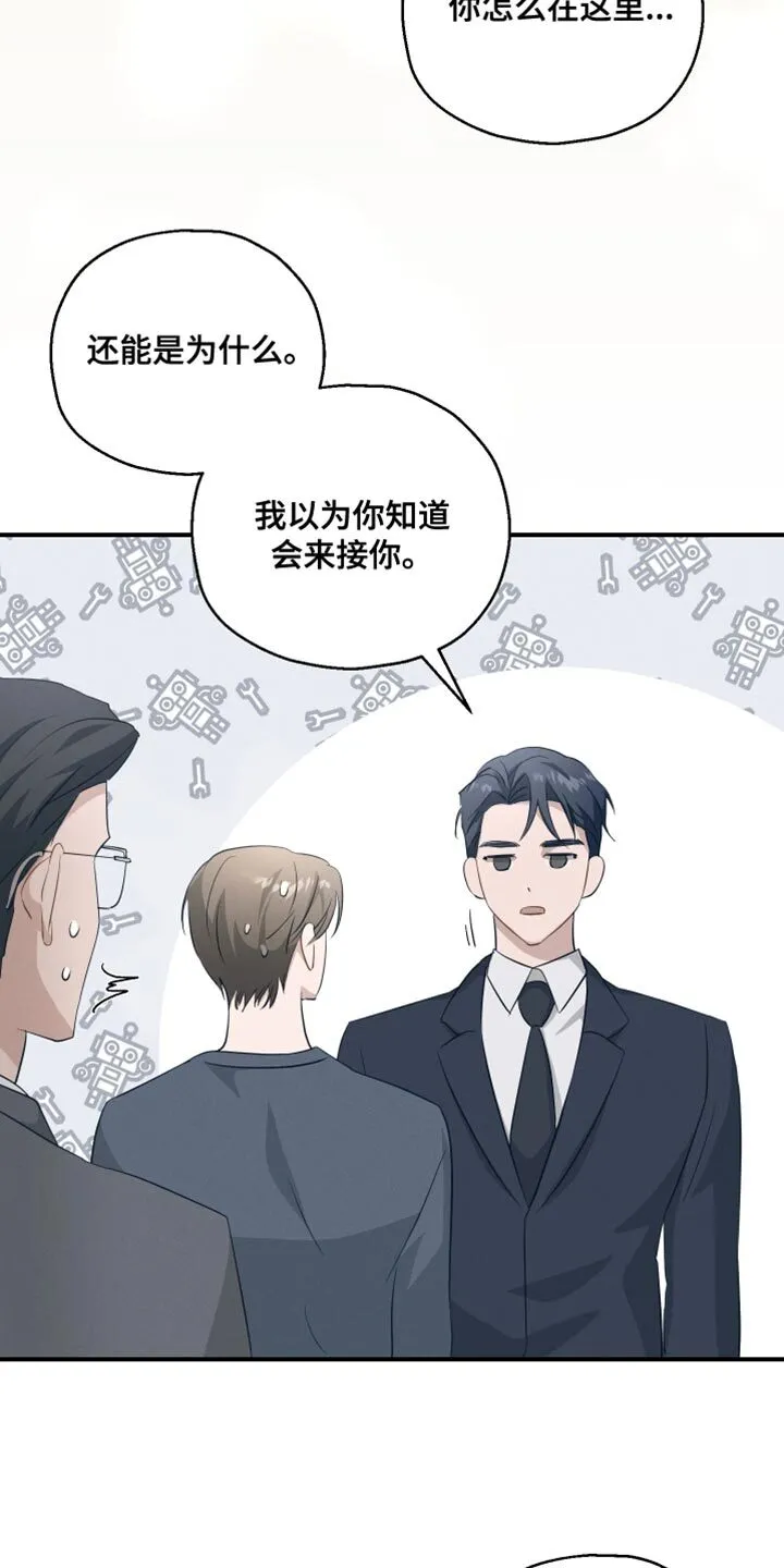 第17章：不需要道歉 第11页