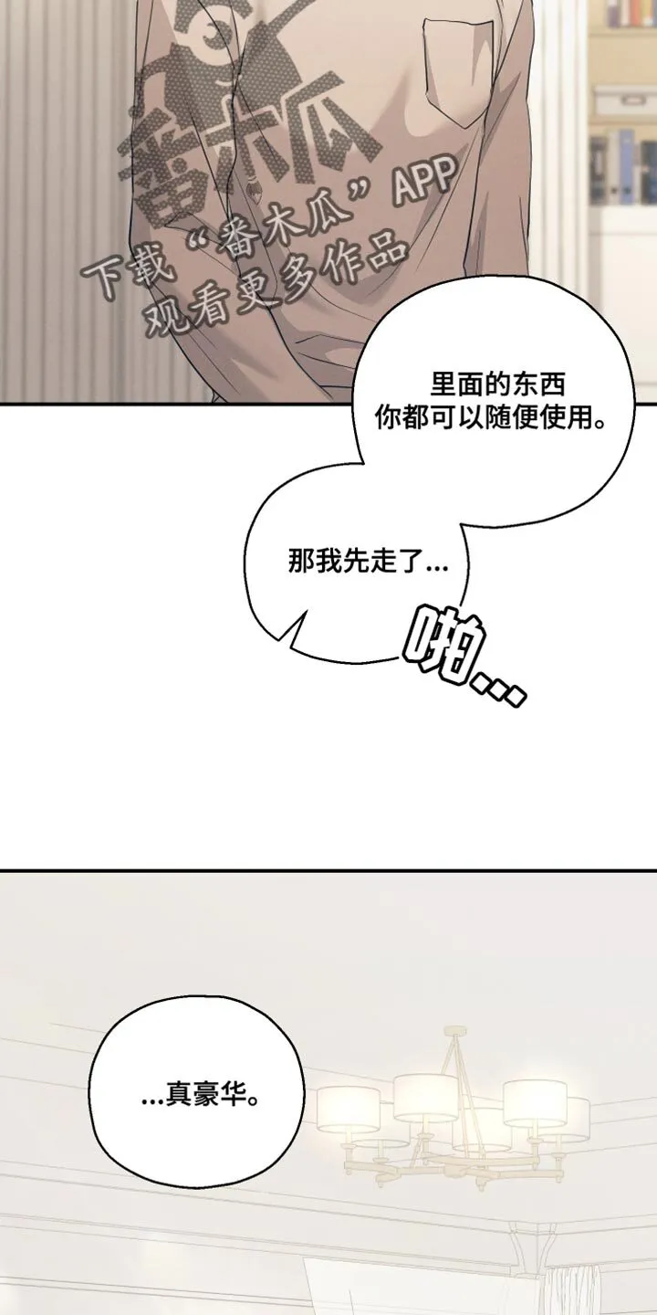 第17章：不需要道歉 第42页