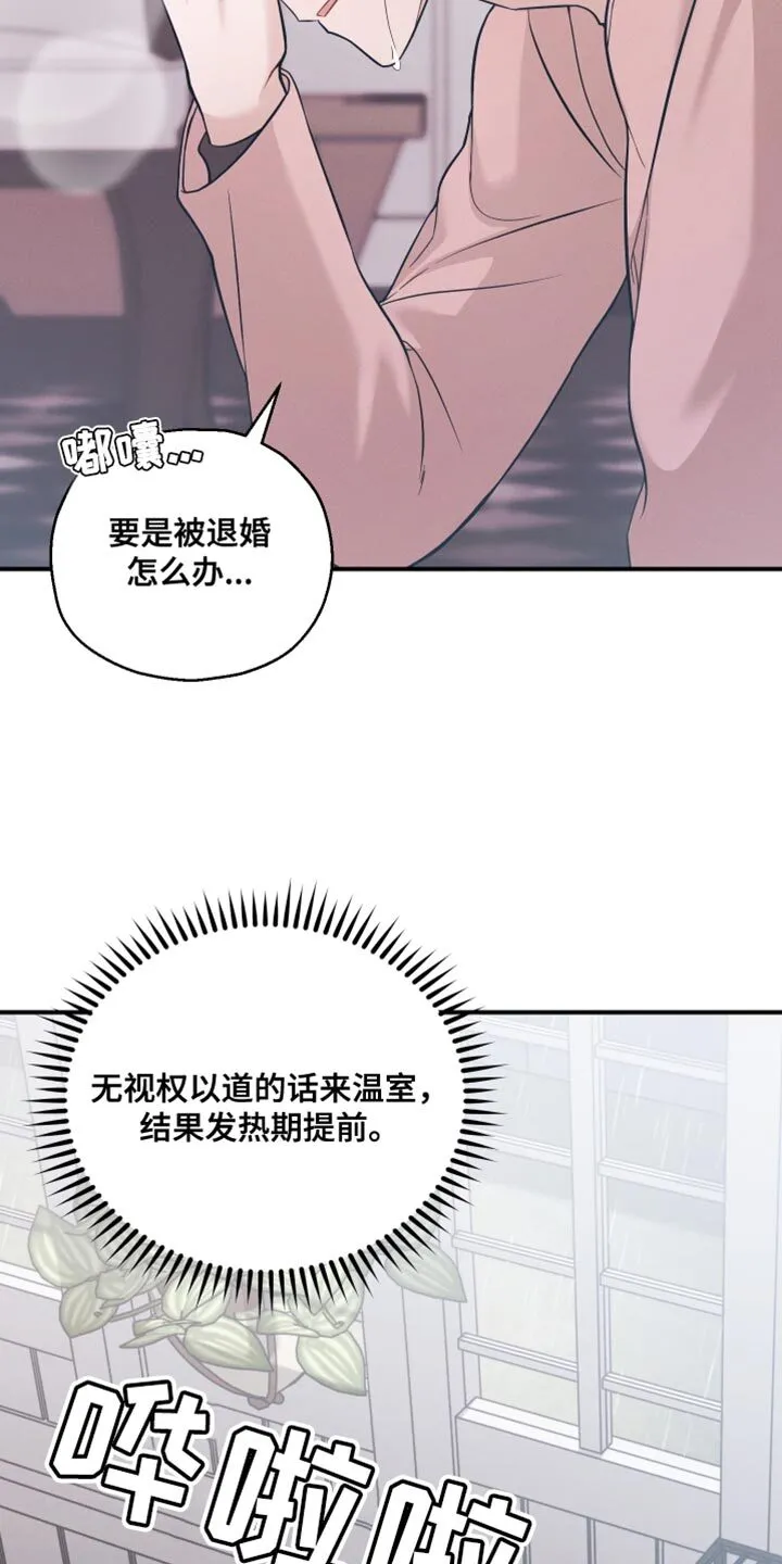 第24章：没用的家伙 第20页