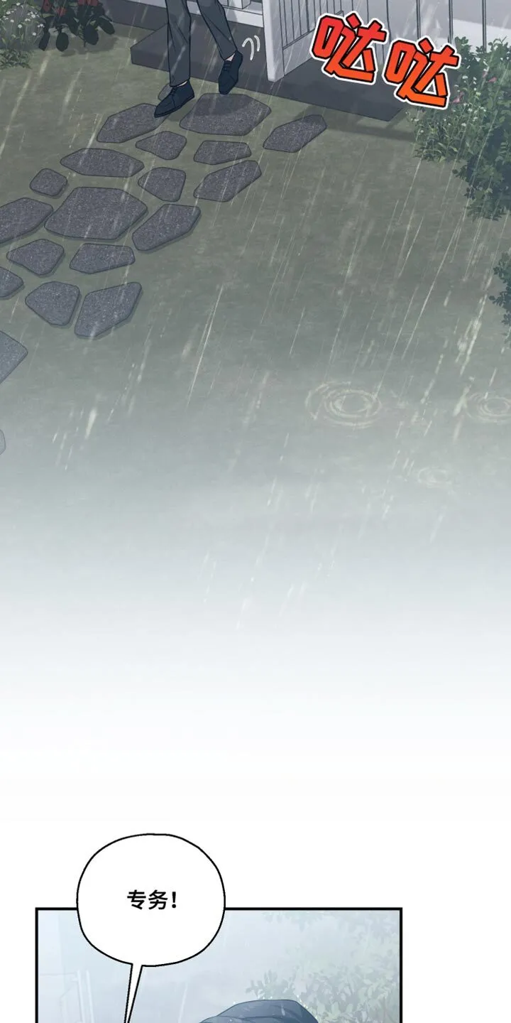 第25章：得现在说 第5页