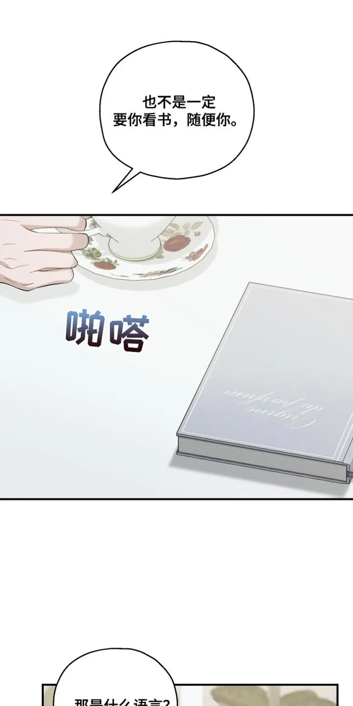 第36章：被监视 第12页