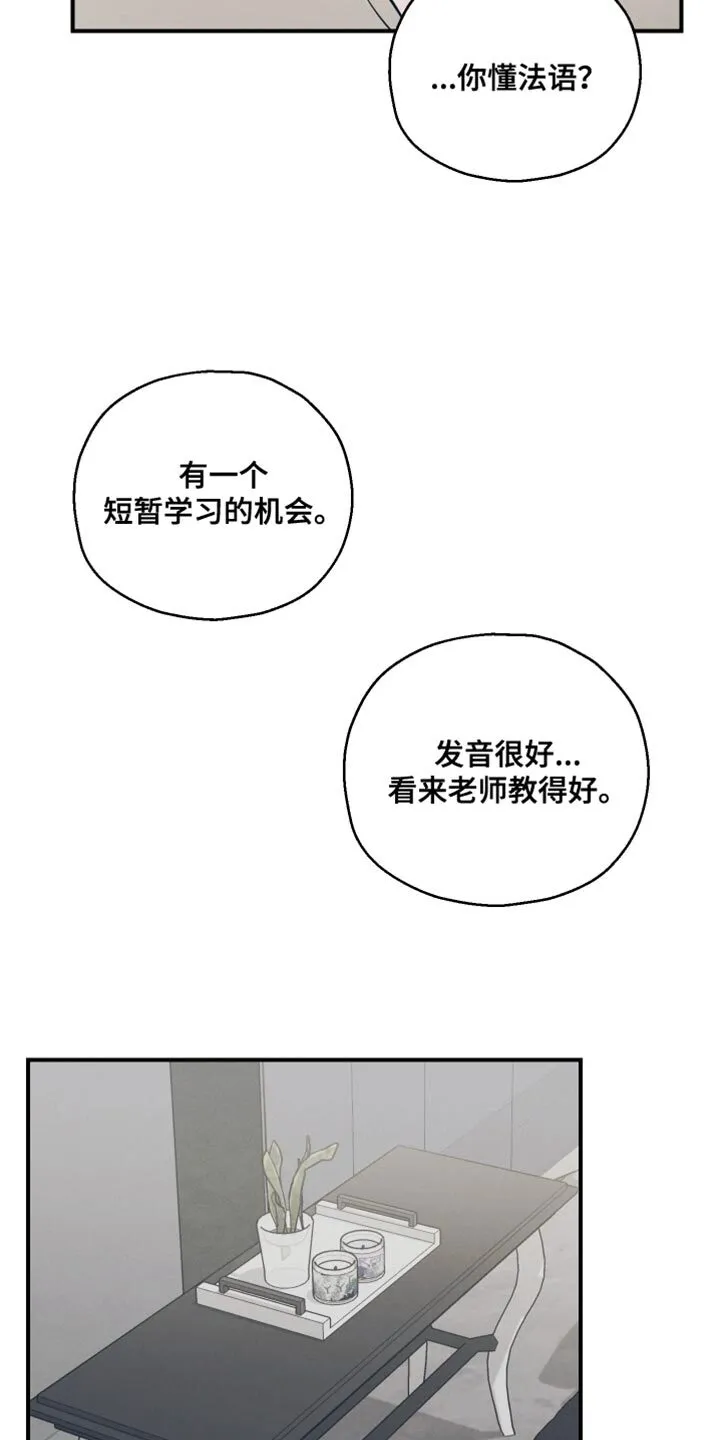 第37章：我没办法问 第11页