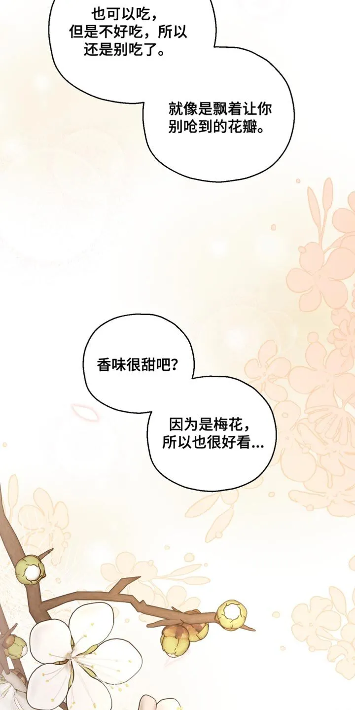 第38章：你为什么哭 第8页