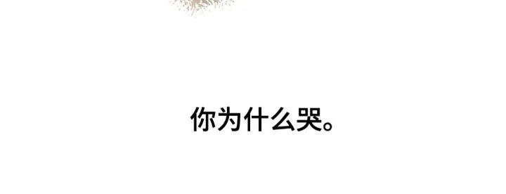 第38章：你为什么哭 第36页