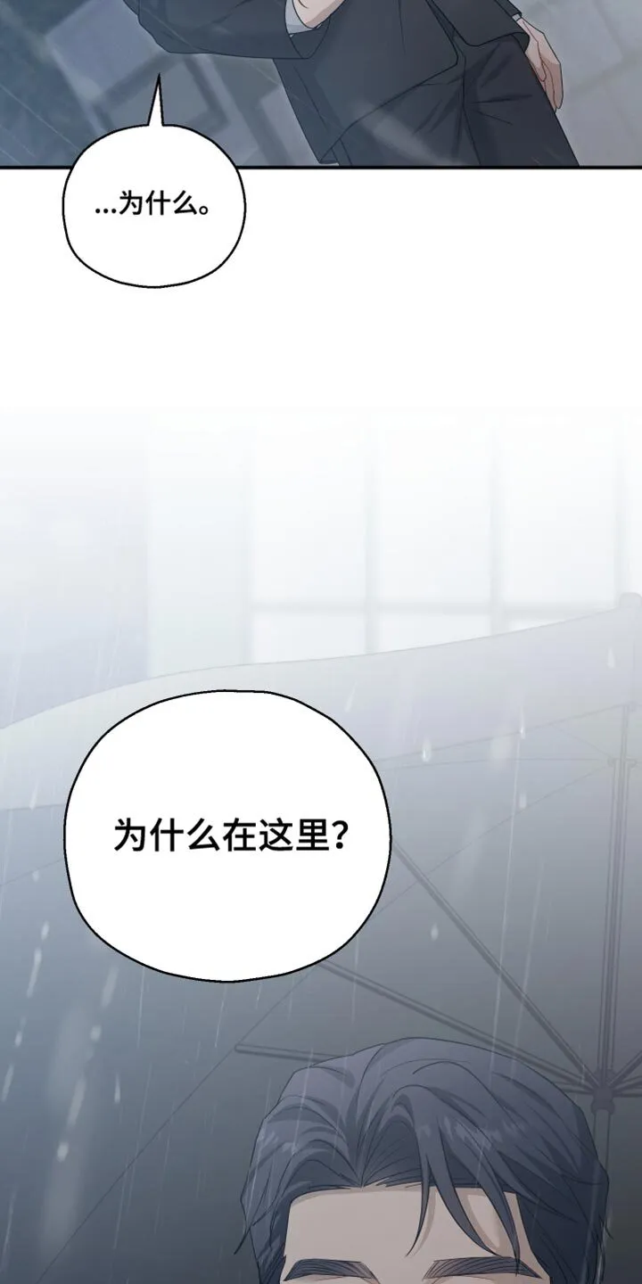 第45章：好像会喜欢上 第24页