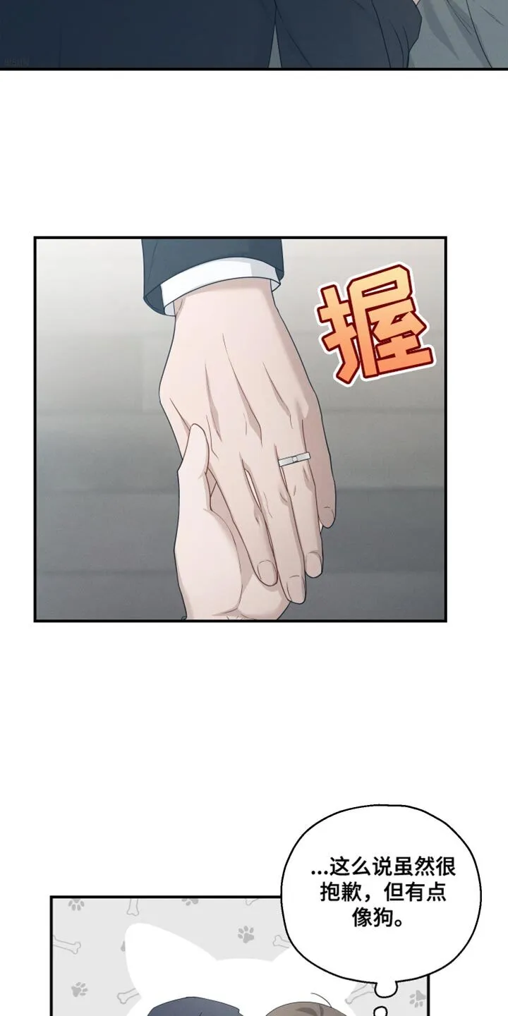第47章：香水 第30页
