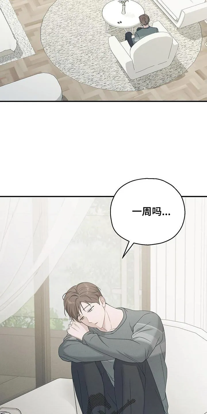 第48章：不要挂断电话 第5页