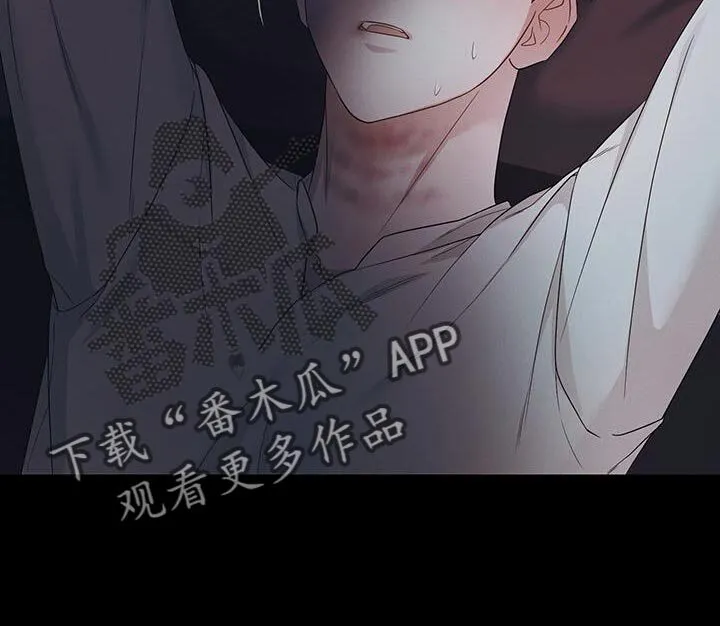 第51章：期望 第11页