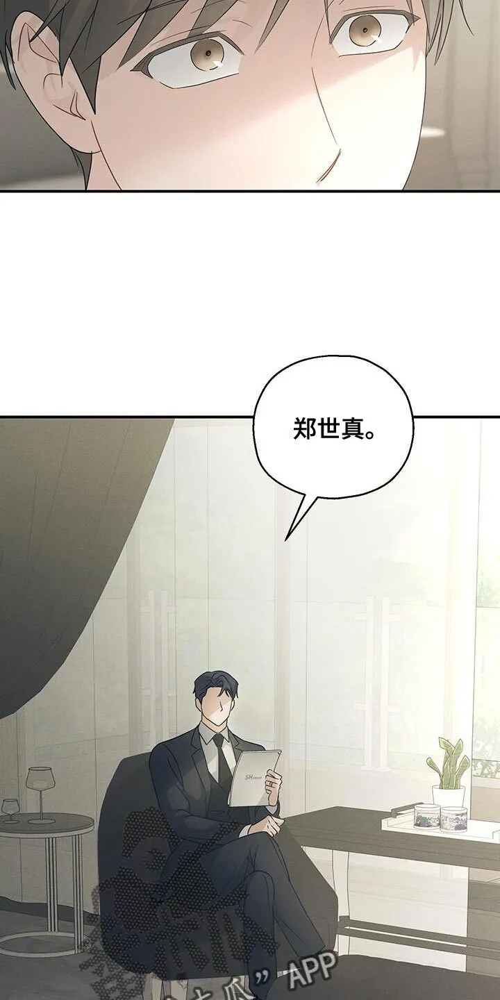 第55章：两个转折点 第2页
