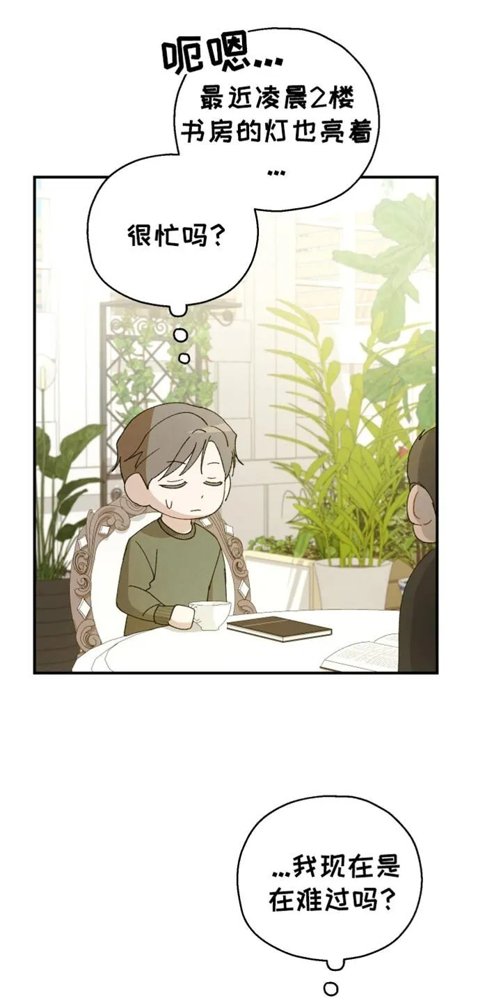 第59章：【第二季】合约的关系 第31页