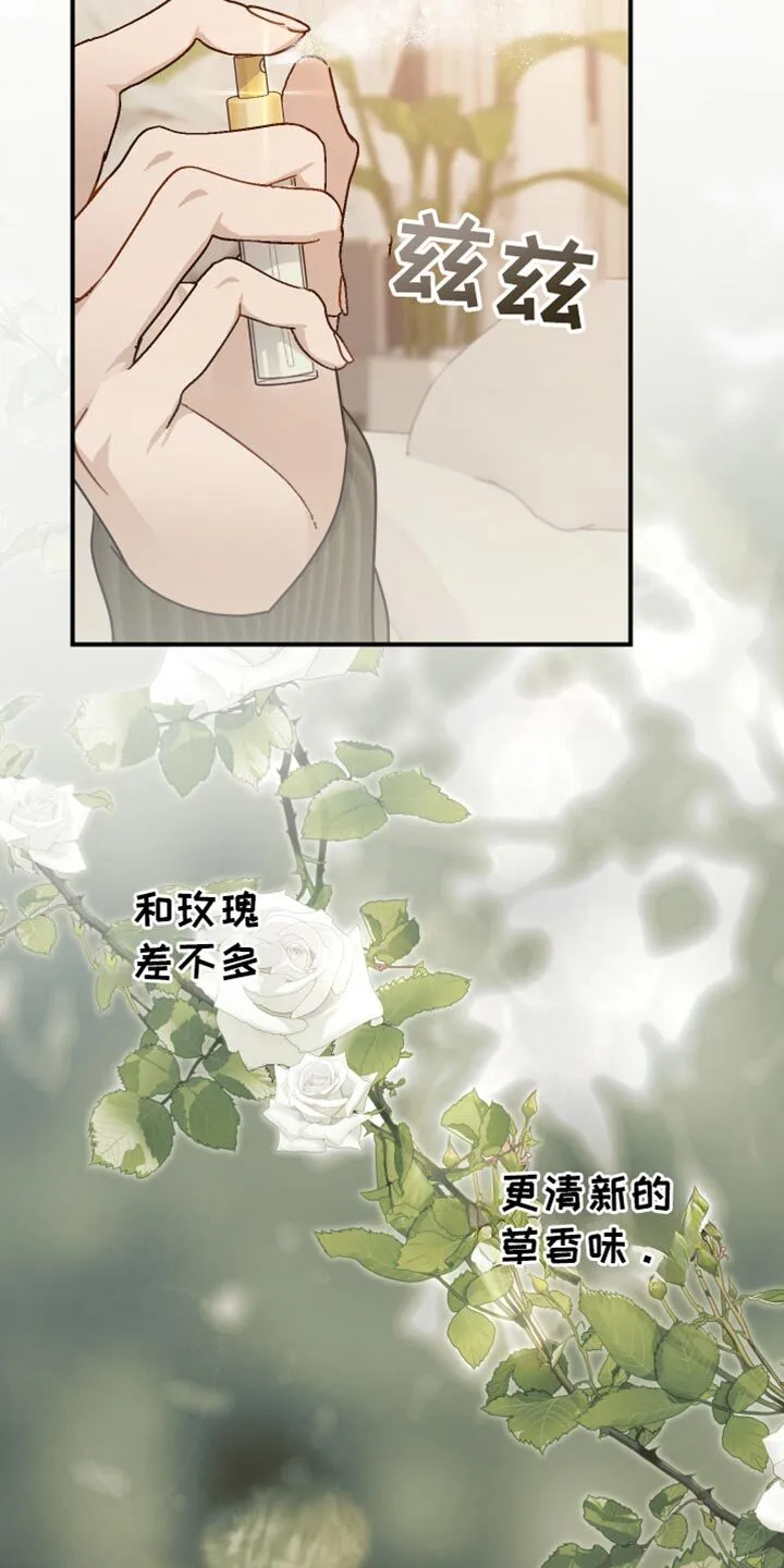 第60章：【第二季】我现在回去 第13页