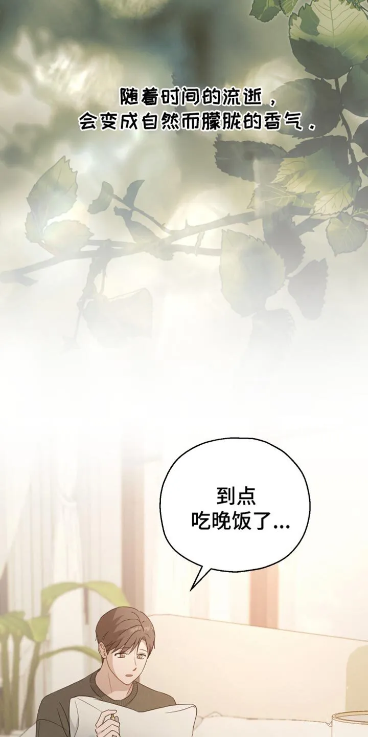 第60章：【第二季】我现在回去 第14页