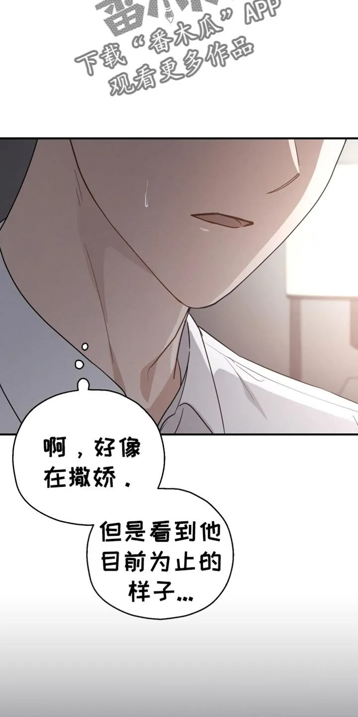 第74章：【第二季】香水 第3页