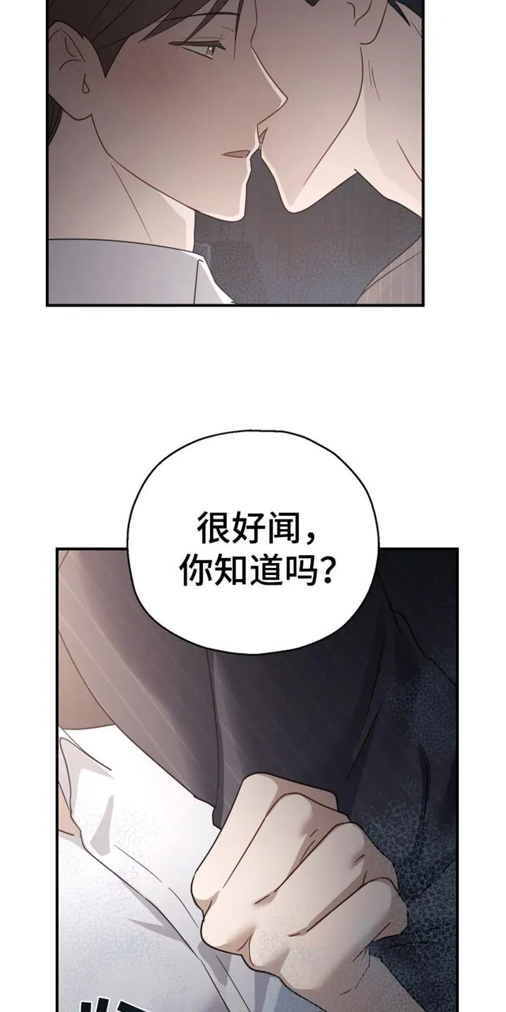 第74章：【第二季】香水 第23页