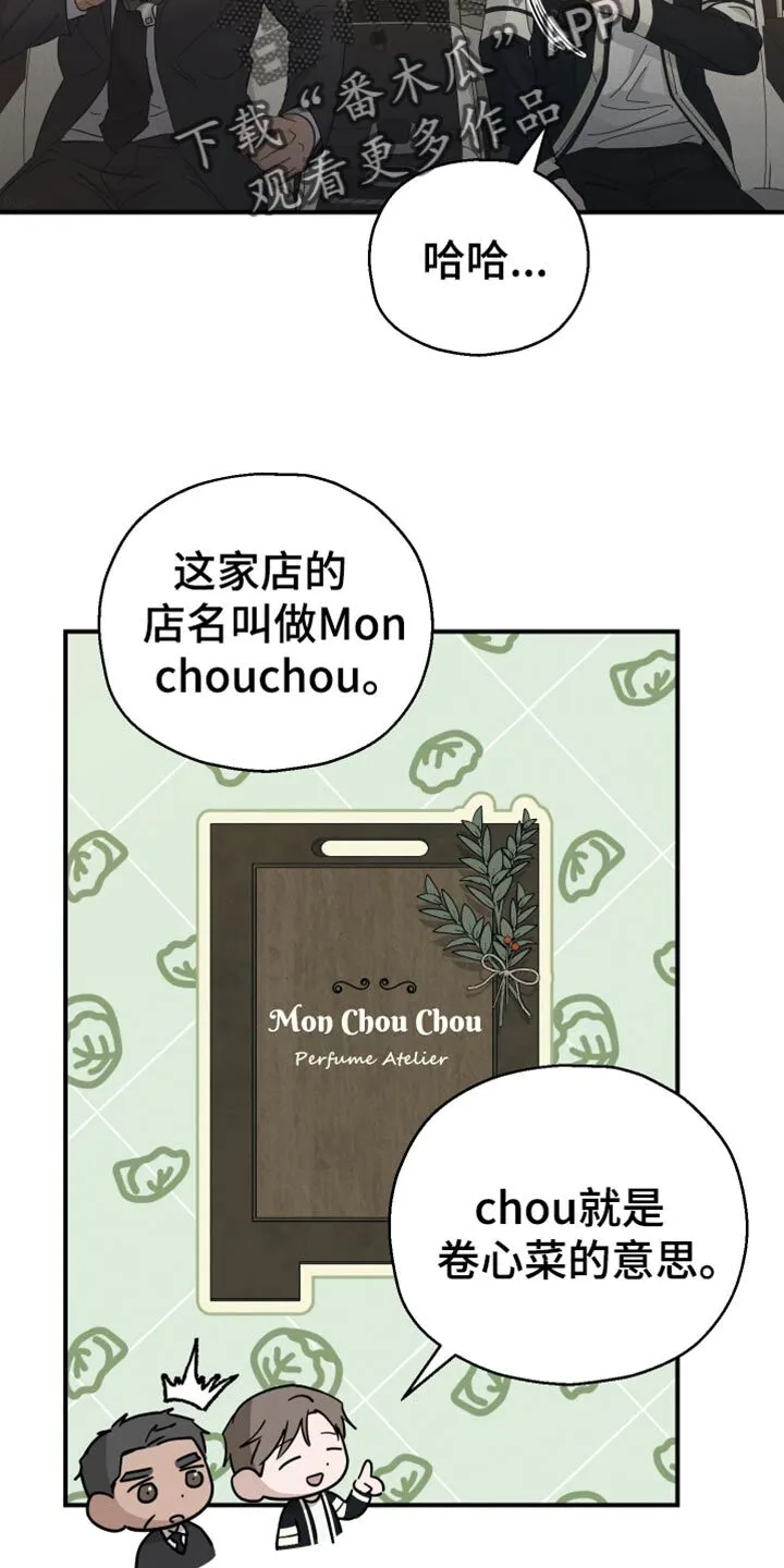 第78章：【第二季】卷心菜 第31页