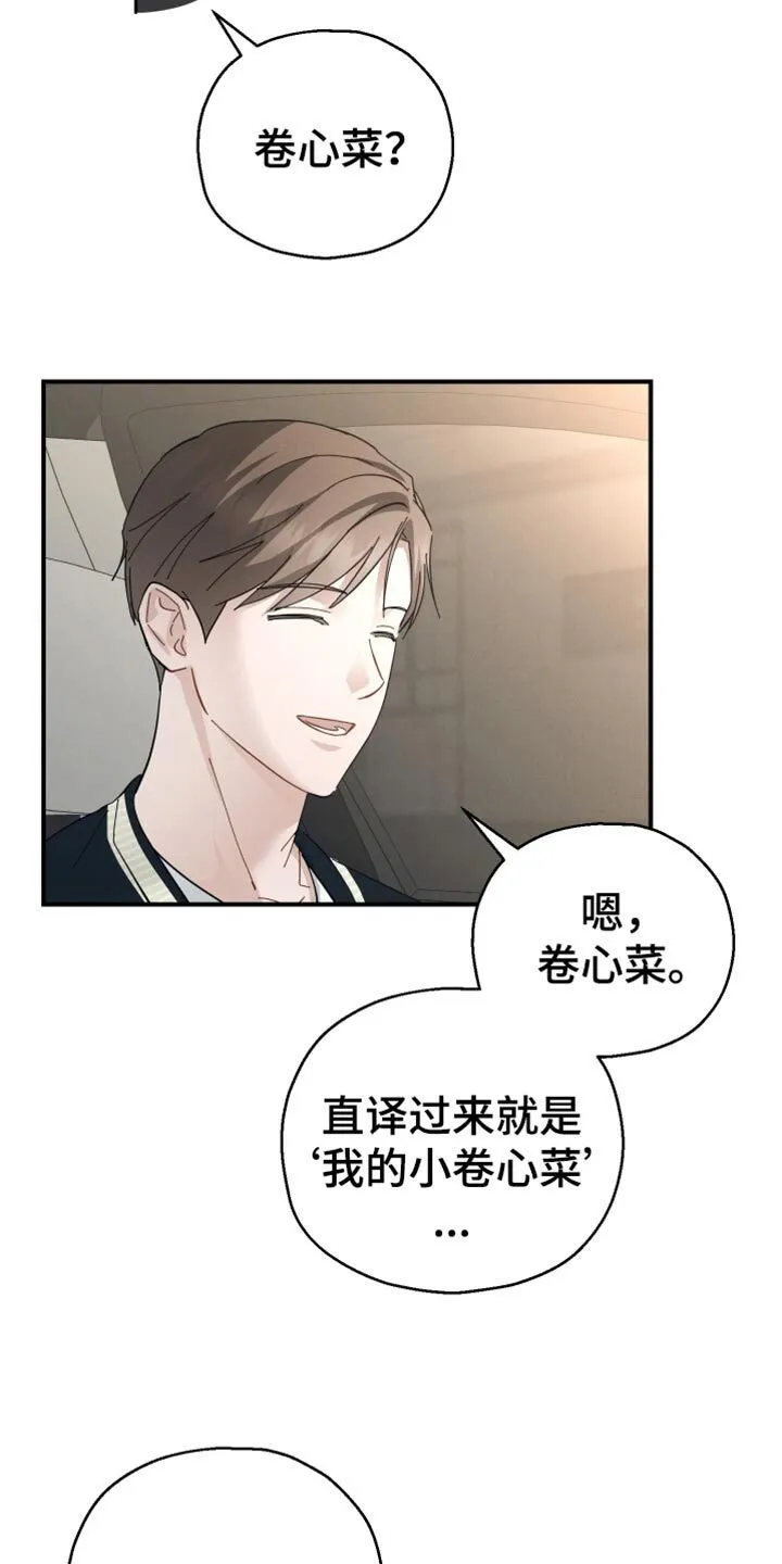 第78章：【第二季】卷心菜 第32页