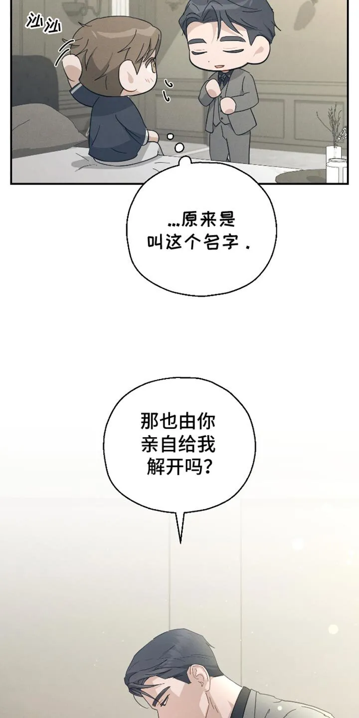 第82章：【第二季】资格证 第10页