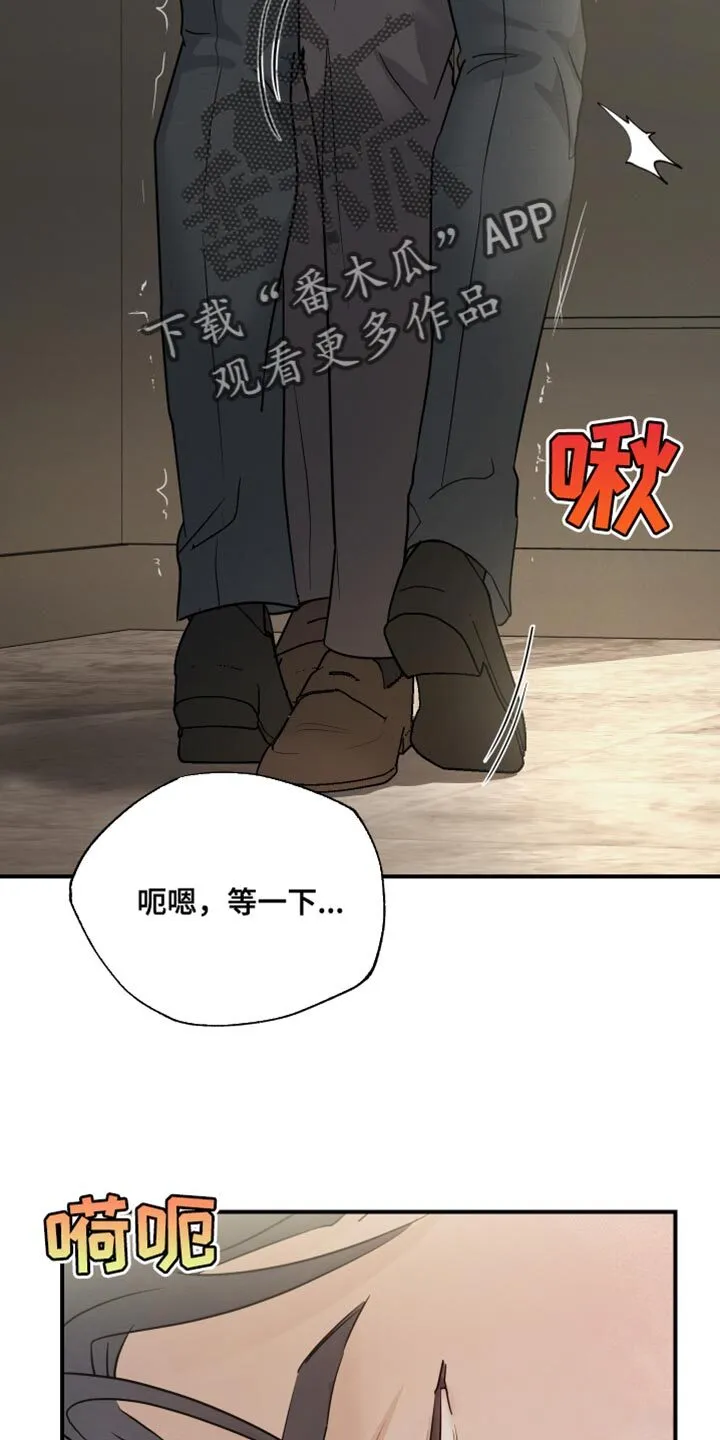 第94章：【第二季】为我建立的 第7页