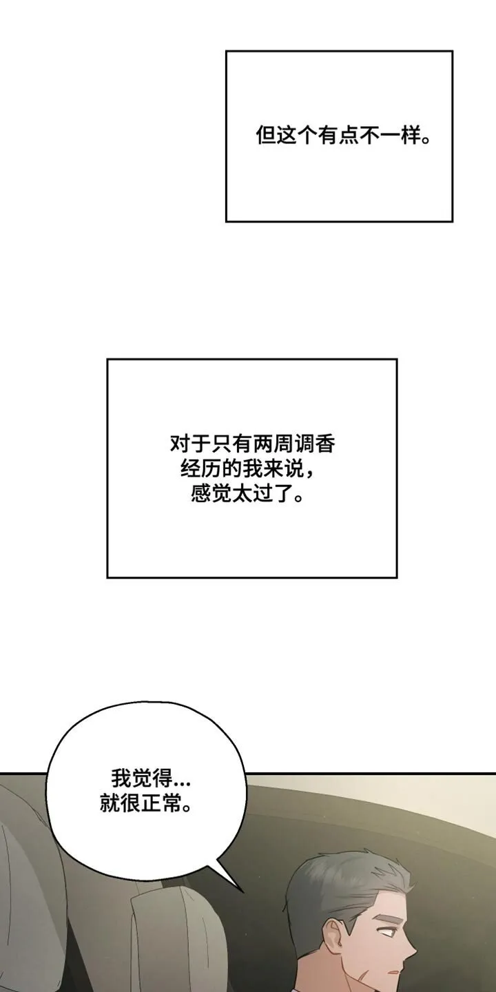 第94章：【第二季】为我建立的 第31页
