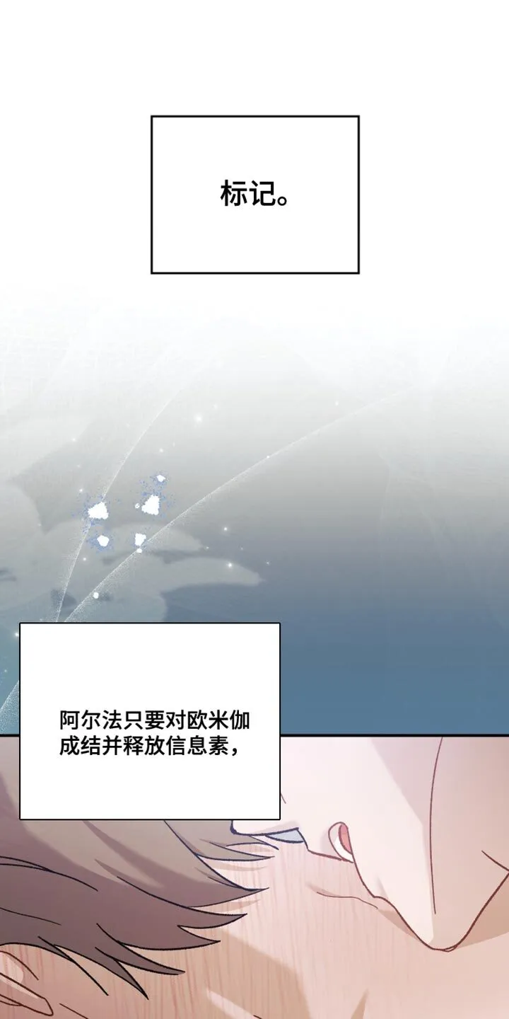 第112章：【第二季】爱操心 第6页