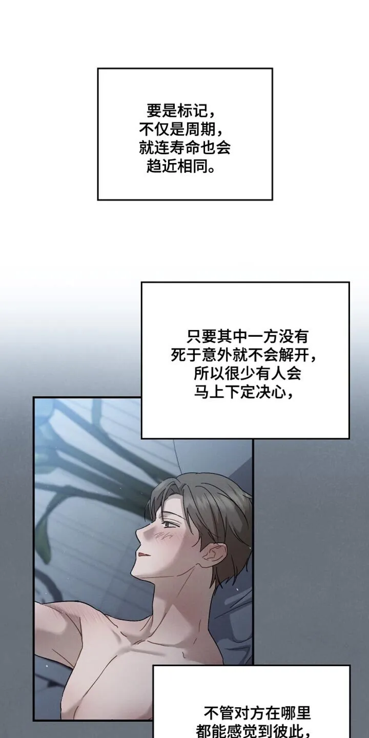 第112章：【第二季】爱操心 第11页