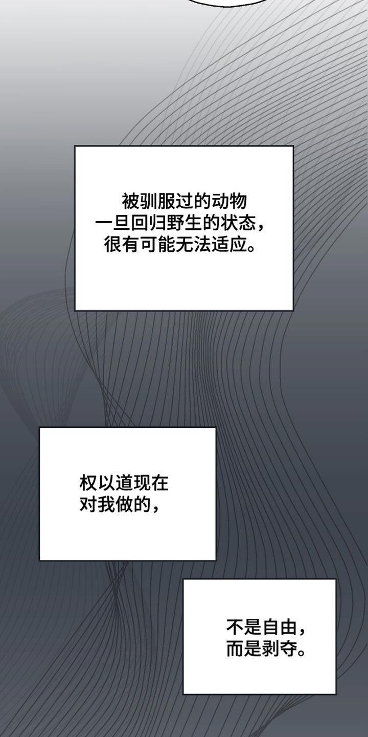 第143章：【第二季】以后不会有我 第14页