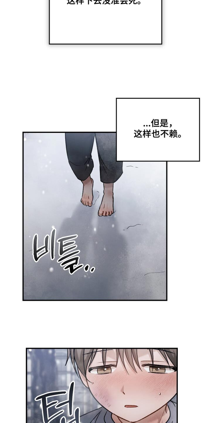 第145章：【第三季】领养的日子 第14页