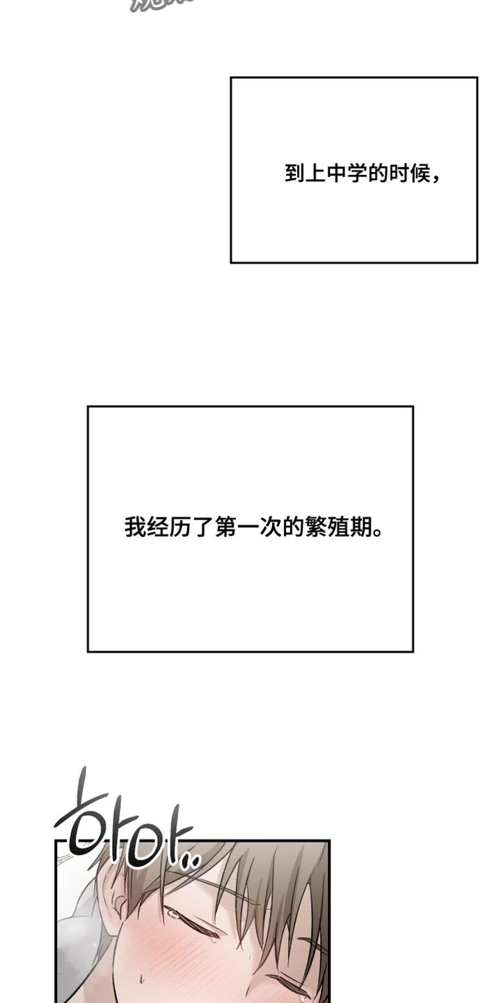 第146章：【第三季】除了脸一无是处 第5页