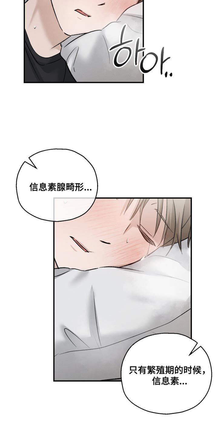 第146章：【第三季】除了脸一无是处 第6页