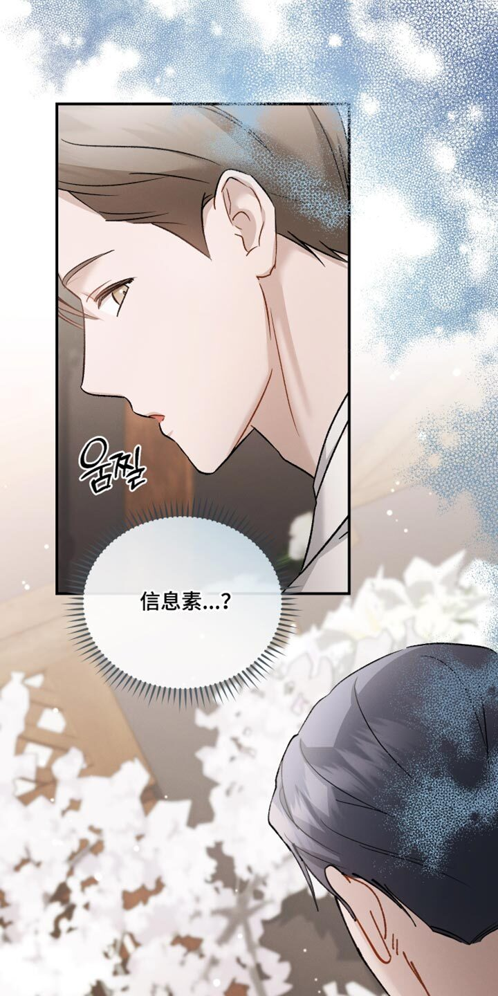 第146章：【第三季】除了脸一无是处 第29页