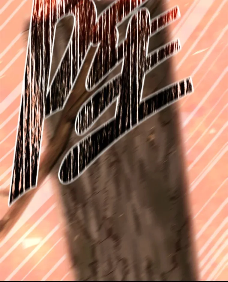 12.对决 第145页