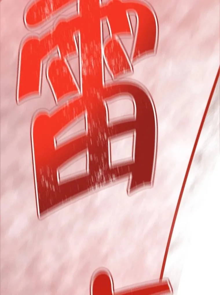 12.对决 第206页