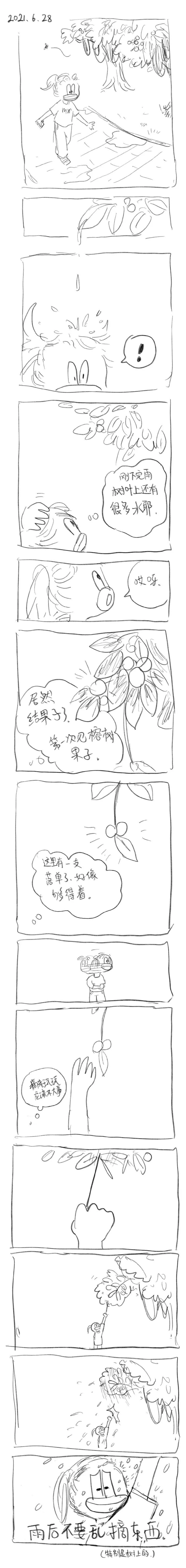 34 2021.6.28 第1页