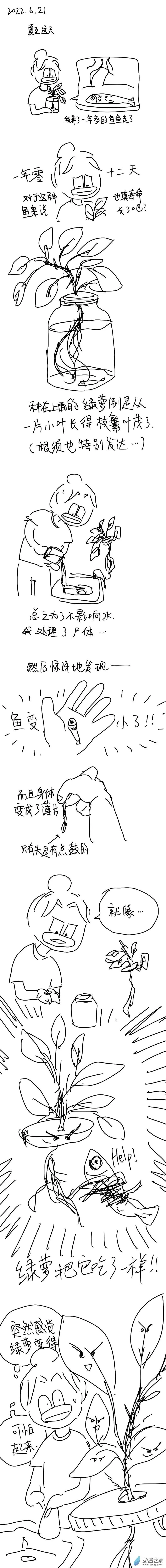 91 2022.6.21 第1页