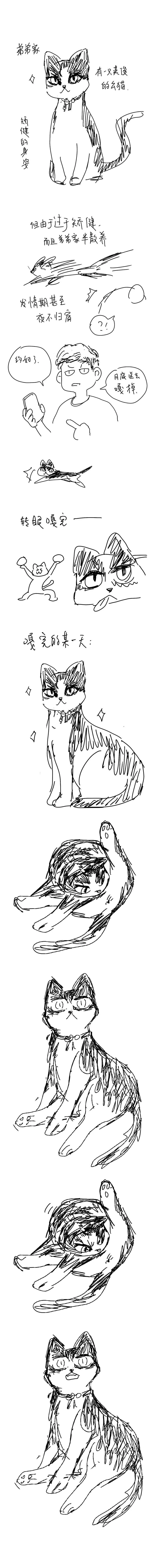 猫 第1页