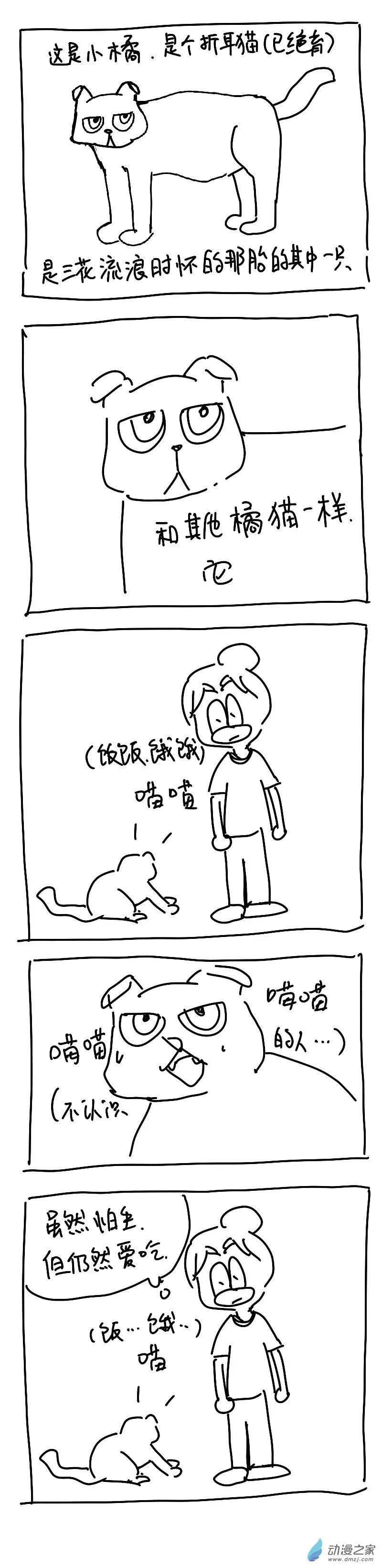 194 第一次独自自驾跨市玩耍 第6页
