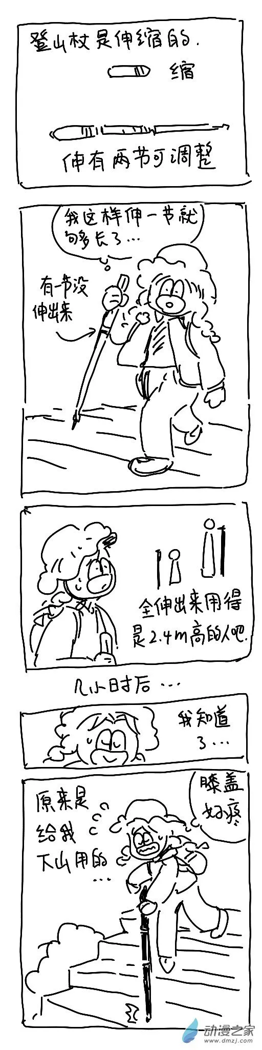 195 第一次认真登山 第3页