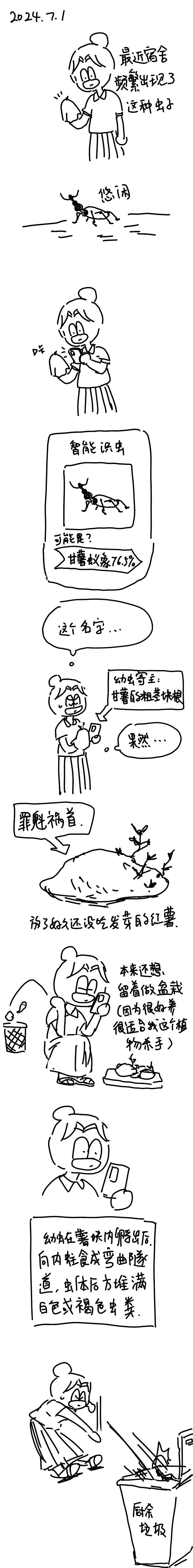 203 2024.7.1 第1页